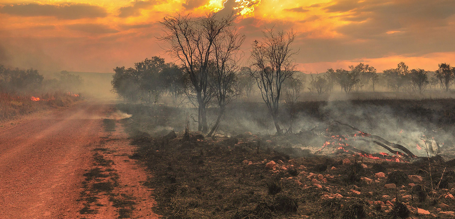 EMERGENZA INCENDI IN AUSTRALIA EMERGENZA INCENDI IN AUSTRALIA