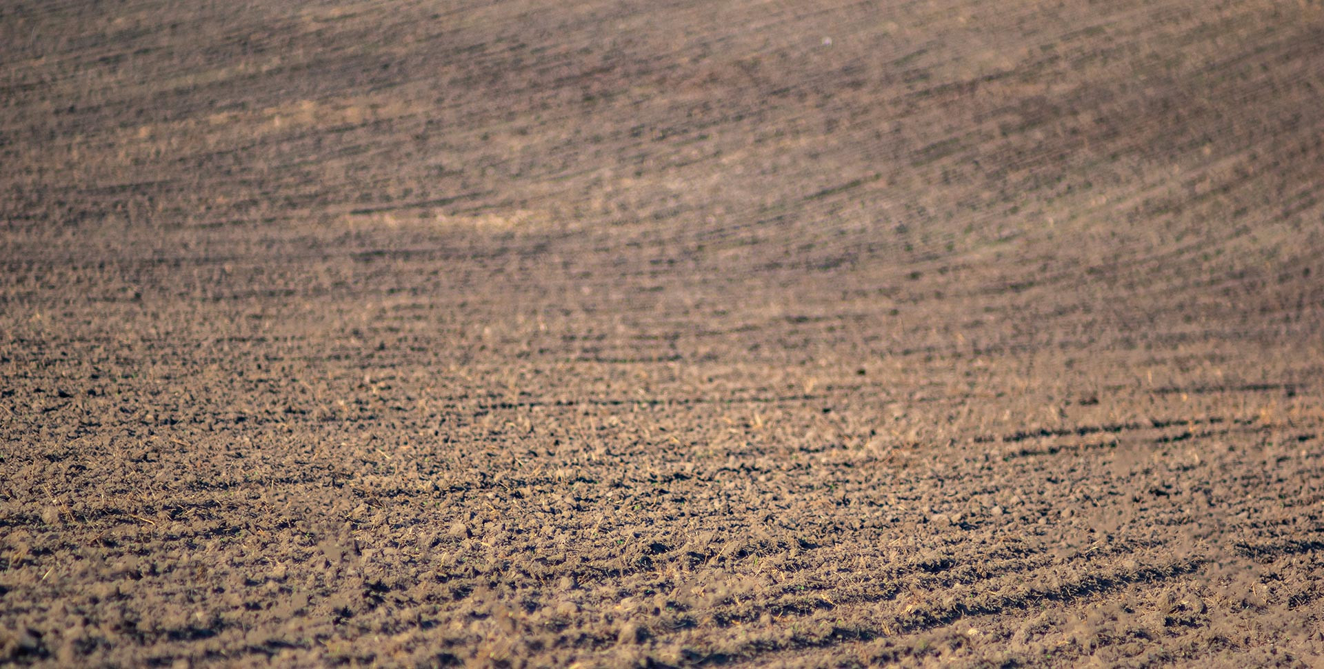 Mélange du sol Mélange du sol