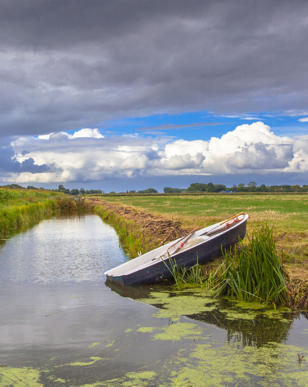 Manutenzione argini canali, fiumi e laghi
