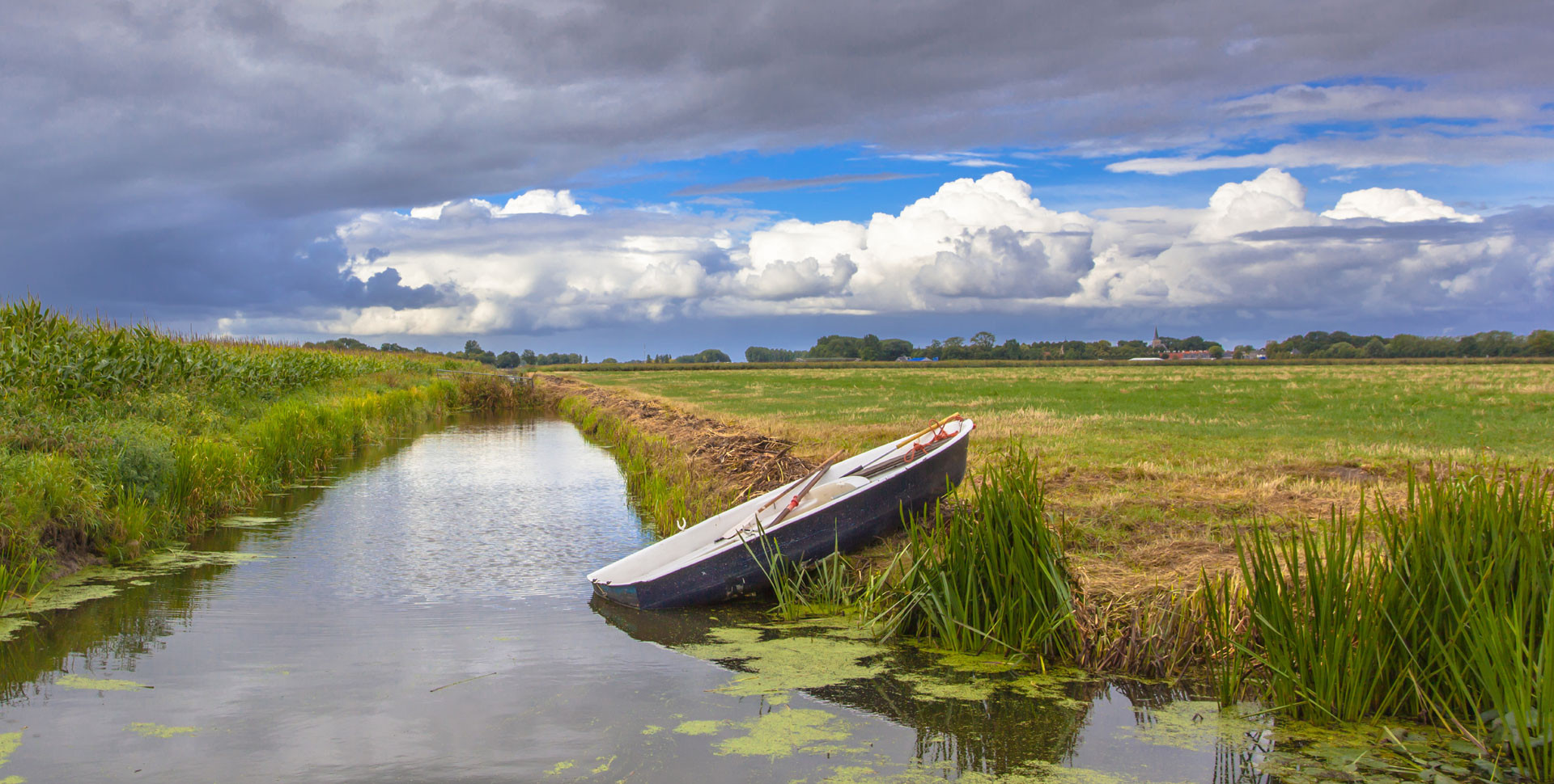 Entretien des rives des canaux, fleuves et lacs Entretien des rives des canaux, fleuves et lacs