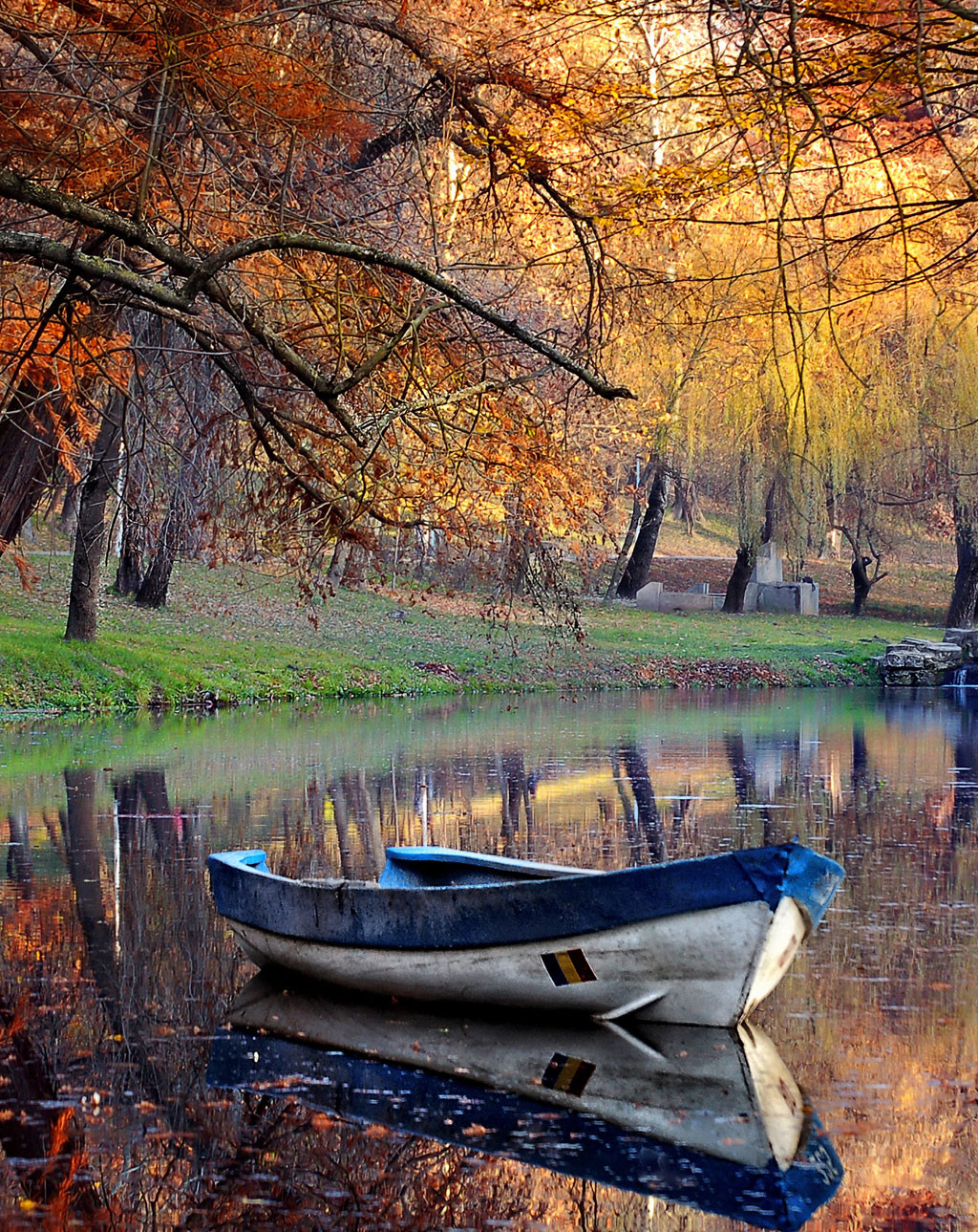 Manutenzione e protezione aree faunistiche