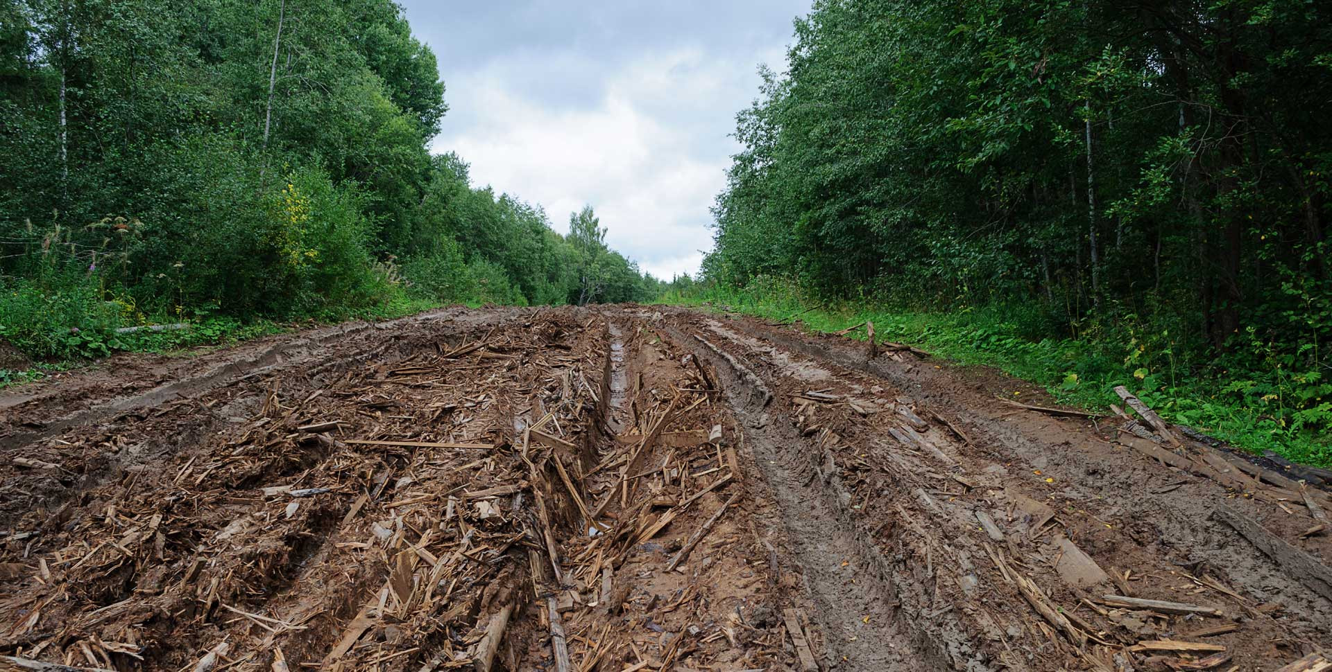 Gestión y recuperación de terrenos forestales Gestión y recuperación de terrenos forestales