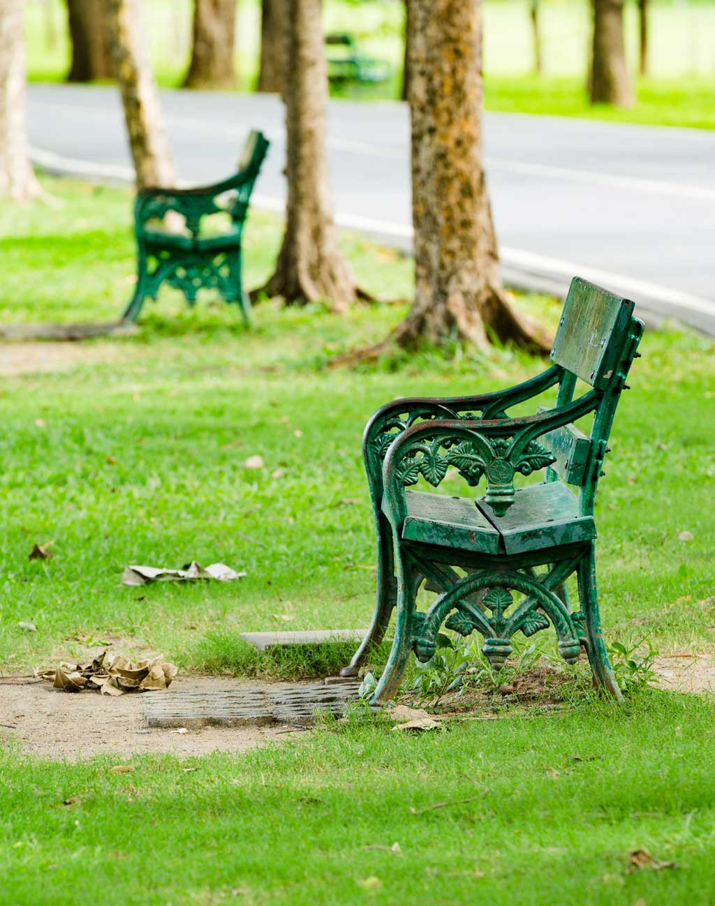 Manutenzione aree verdi commerciali, residenziali e sportive