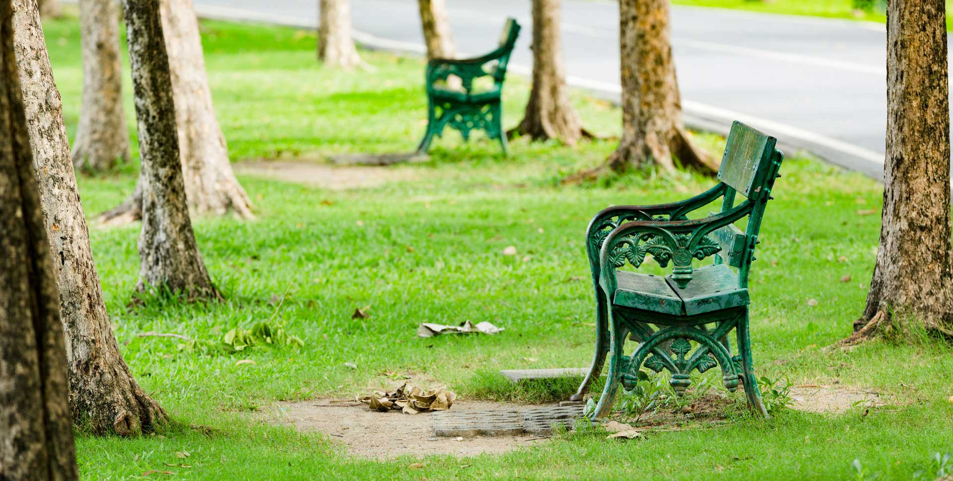 Entretien des espaces verts commerciaux, résidentiels et sportifs Entretien des espaces verts commerciaux, résidentiels et sportifs