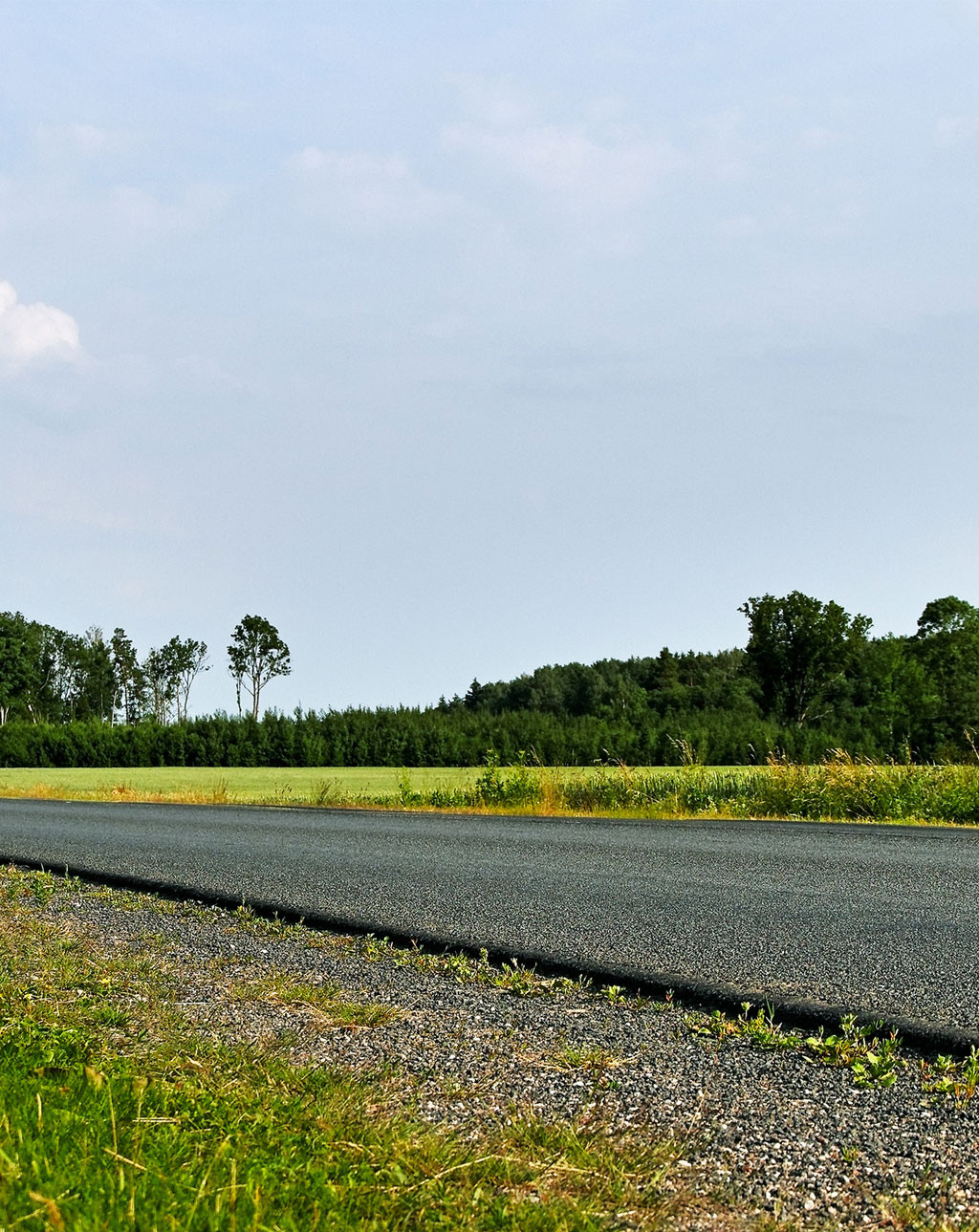 Manutenzione bordi strade e linee ferroviarie