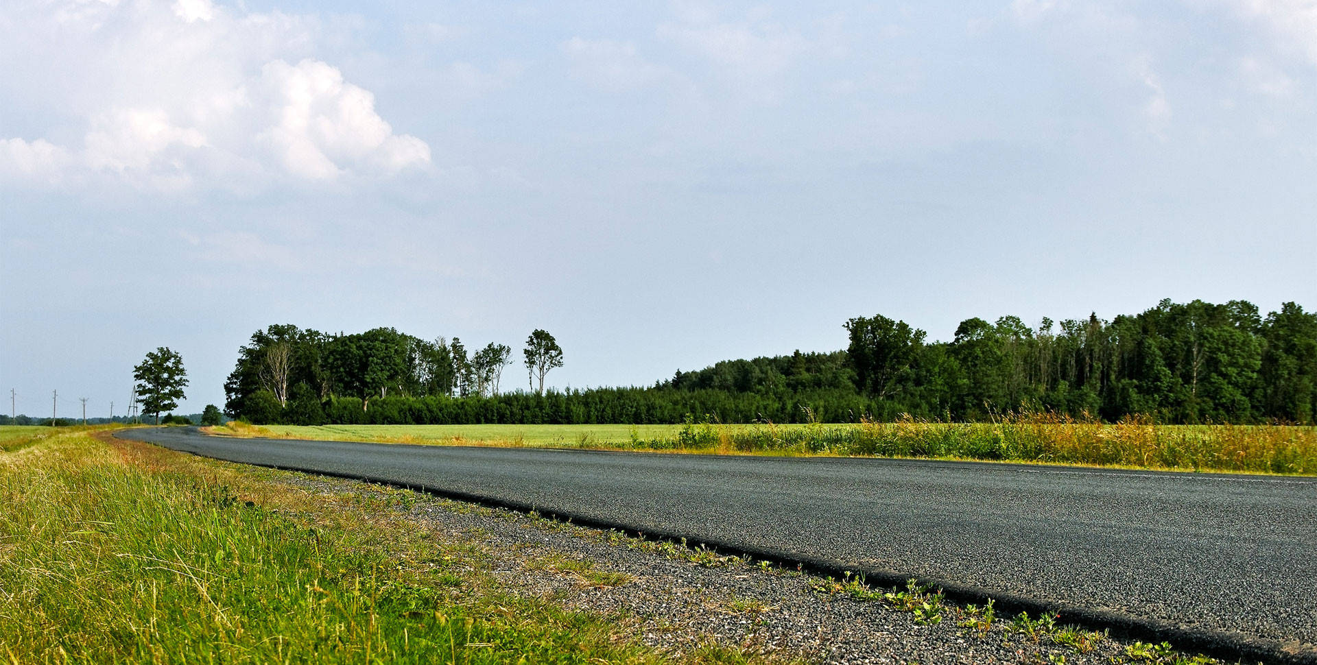 Roadside and railway vegetation maintenance Roadside and railway vegetation maintenance