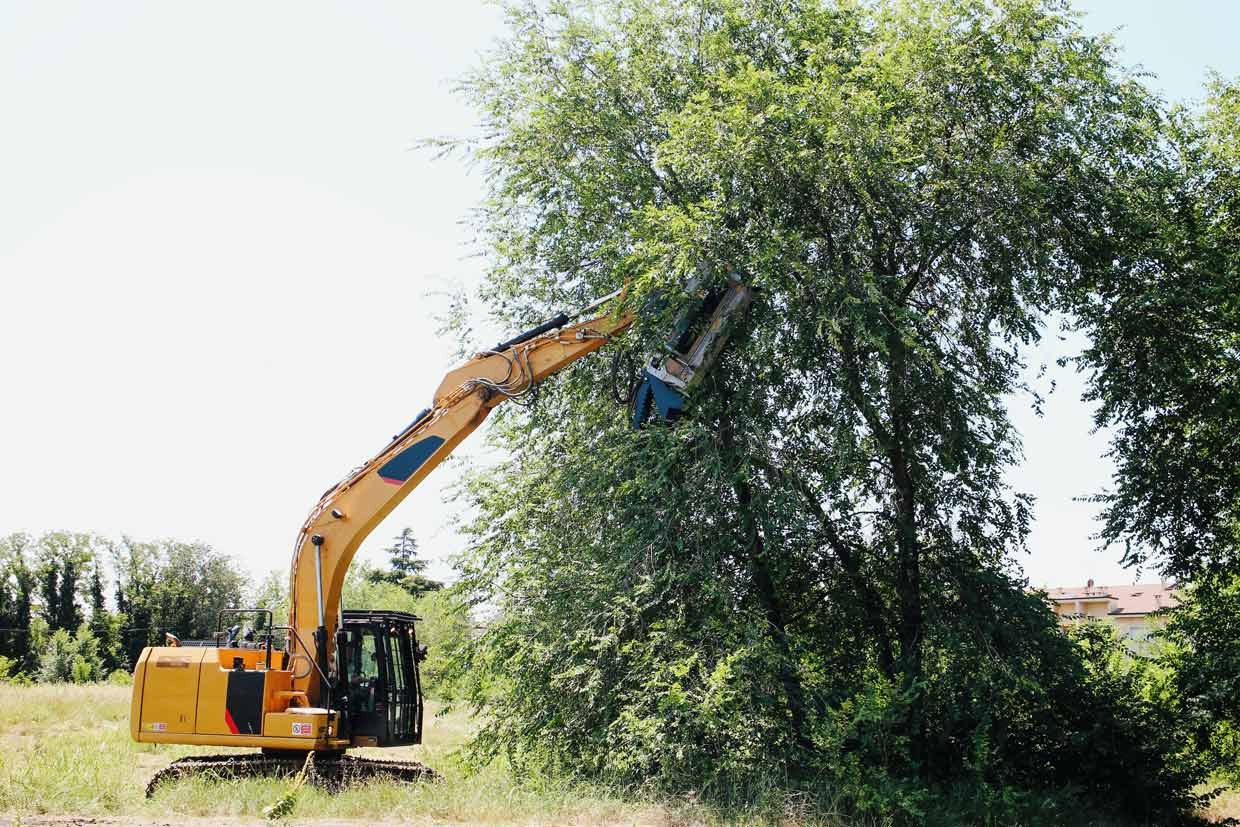 BL3/EX/VT - BL3/EX/SONIC, trincia forestale per escavatore dotata di lame BL in acciaio forgiato, sono resistenti e riaffilabili, riducendo i costi d'esercizio