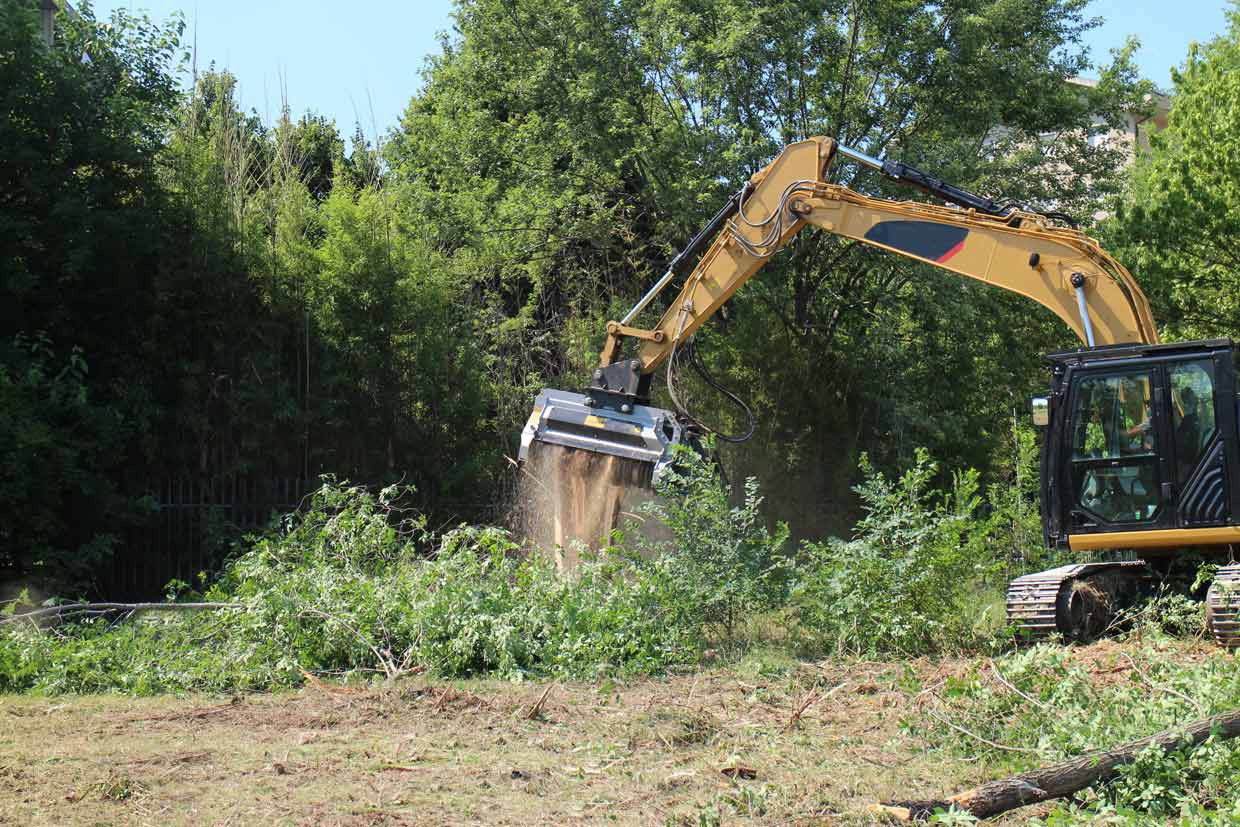 BL3/EX/VT - BL3/EX/SONIC, trince forestali per escavatori ideali per la gestione delle aree boschive e forestali
