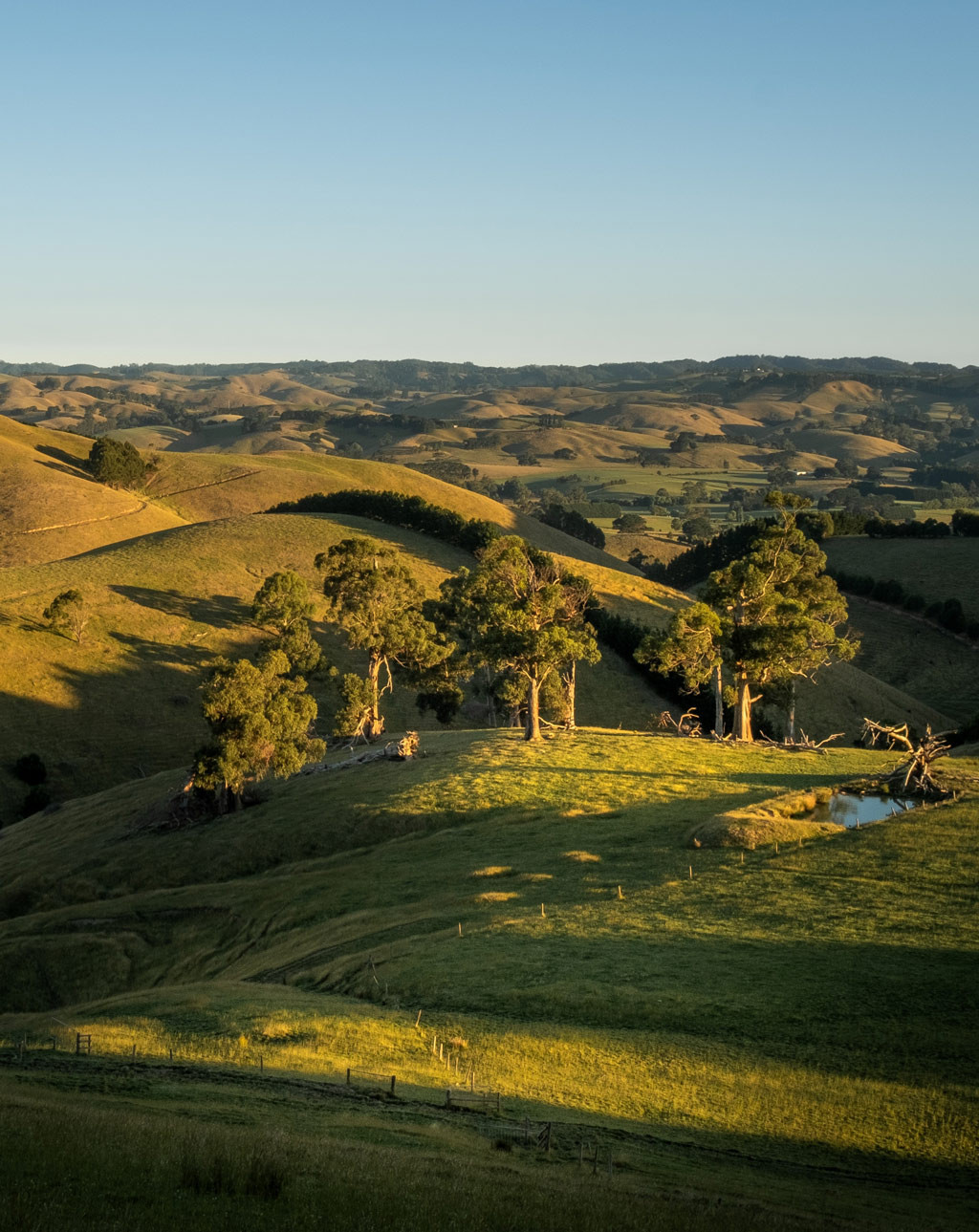 Australie, Kyneton, Pet's Farm| FAE STORIES