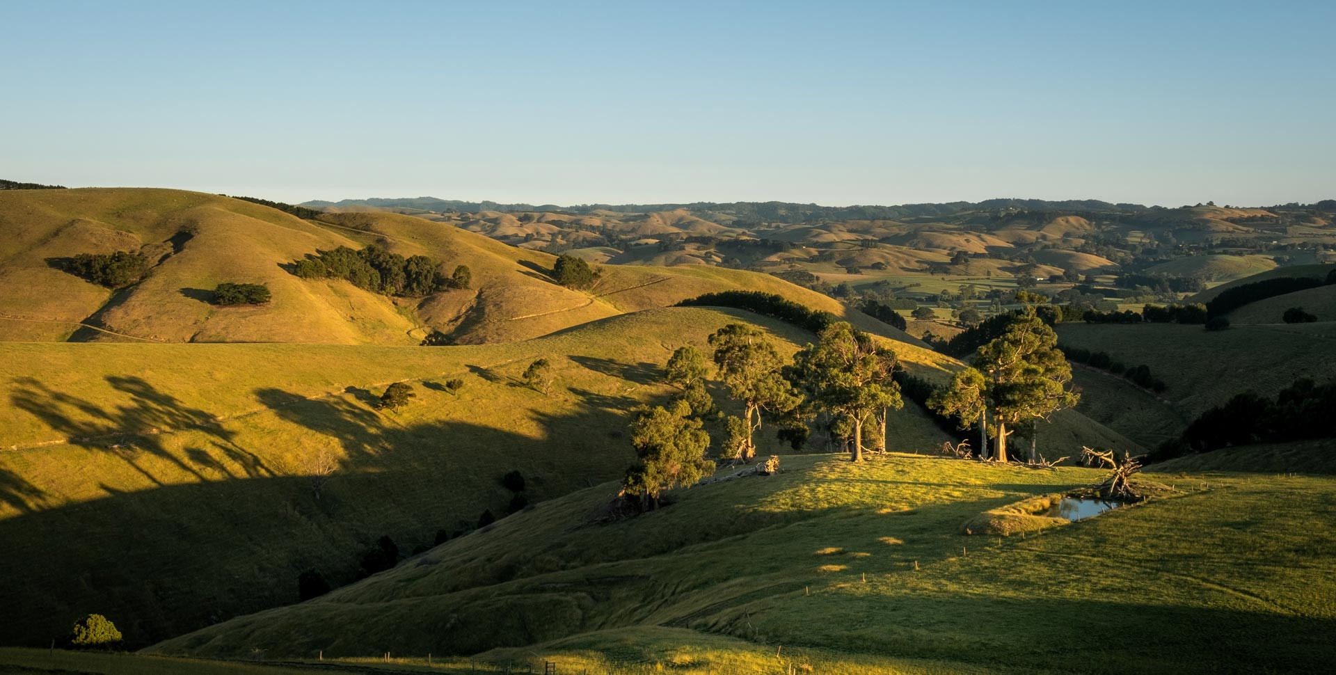 Australia, Kyneton, Pet's Farm | #FAESTORY Australia, Kyneton, Pet's Farm | #FAESTORY