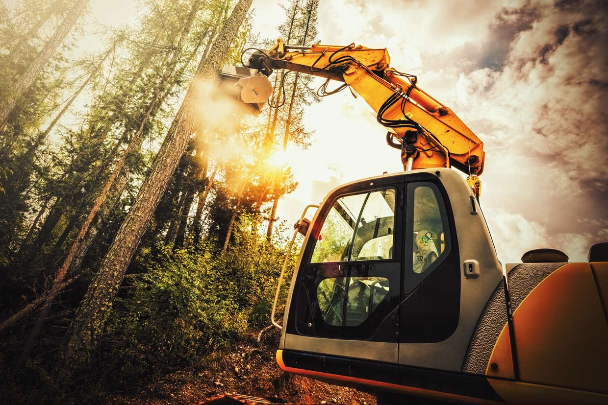 UML/S/EX/VT - UML/S/EX/SONIC, forestry mulchers for excavators that stands out for its speed and exceptional performance requiring less power demand 