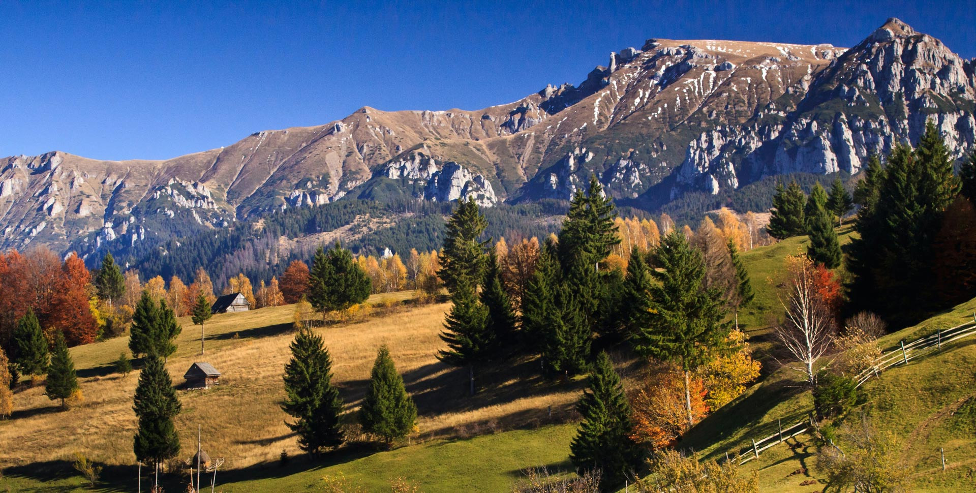 Roumanie, Alser Forest | #FAESTORY Roumanie, Alser Forest | #FAESTORY