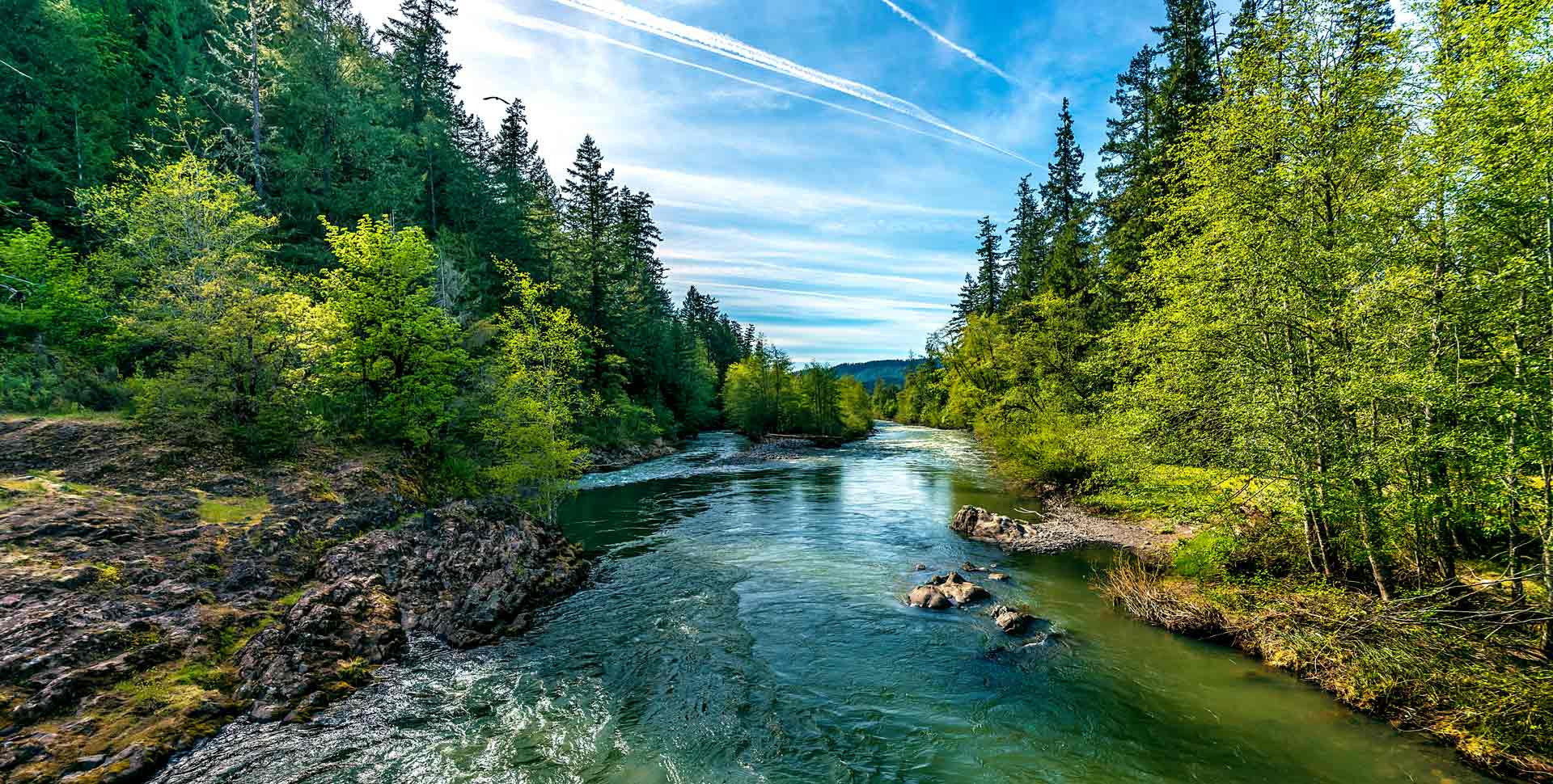 FAE_Story_Oregon_1920x970.jpg FAE_Story_Oregon_1920x970.jpg