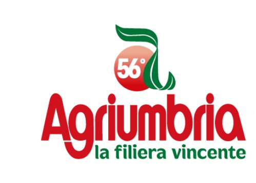 Immagine 2025-03-19 113500.jpg