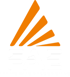 FAE Group